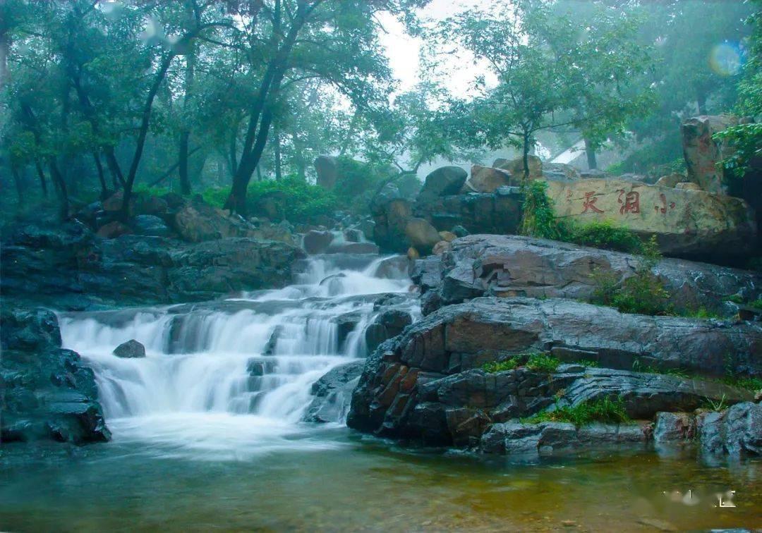 探索天涯问答交流平台如何清蒸鳕鱼